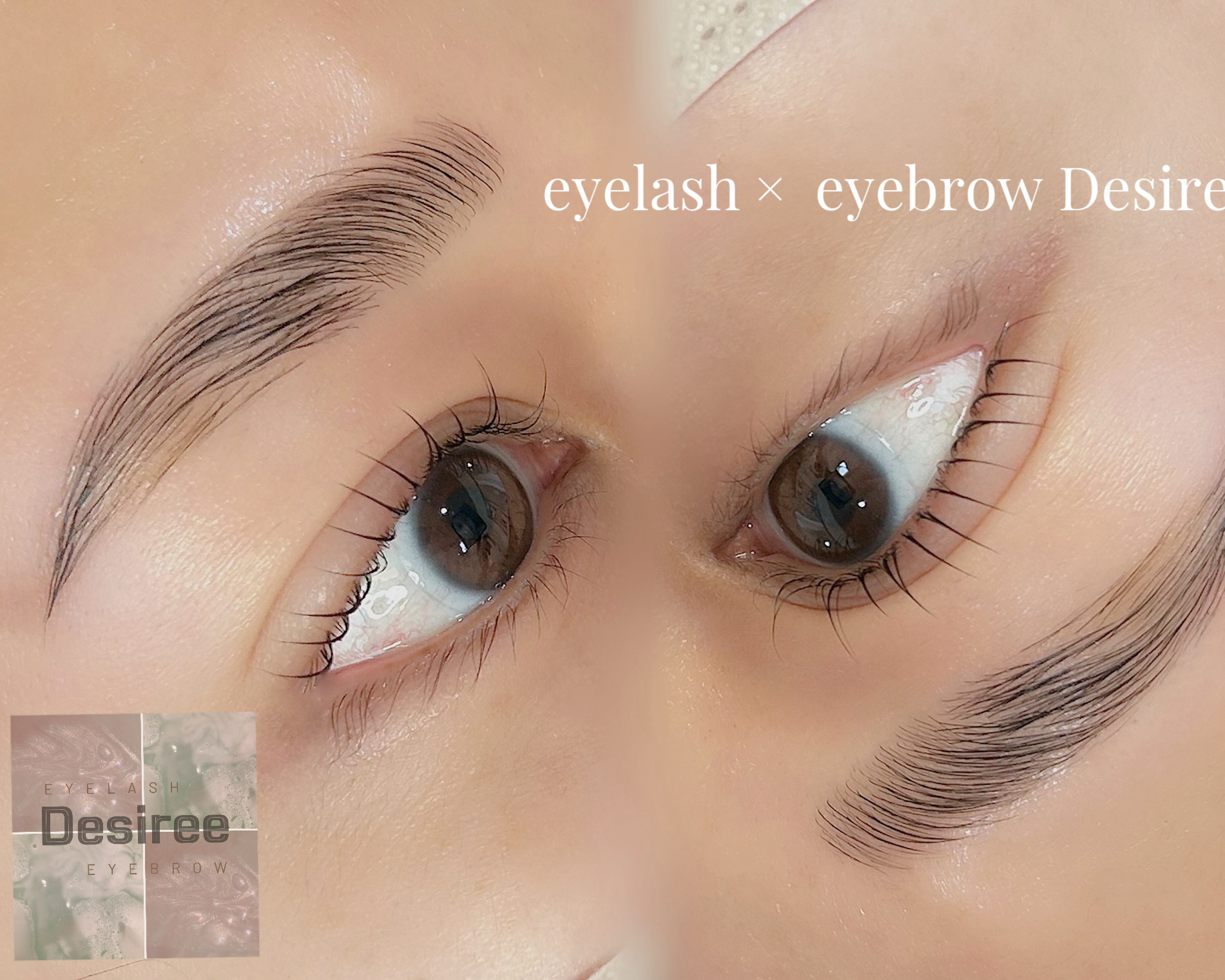eyelash_eyebrow_desiree.