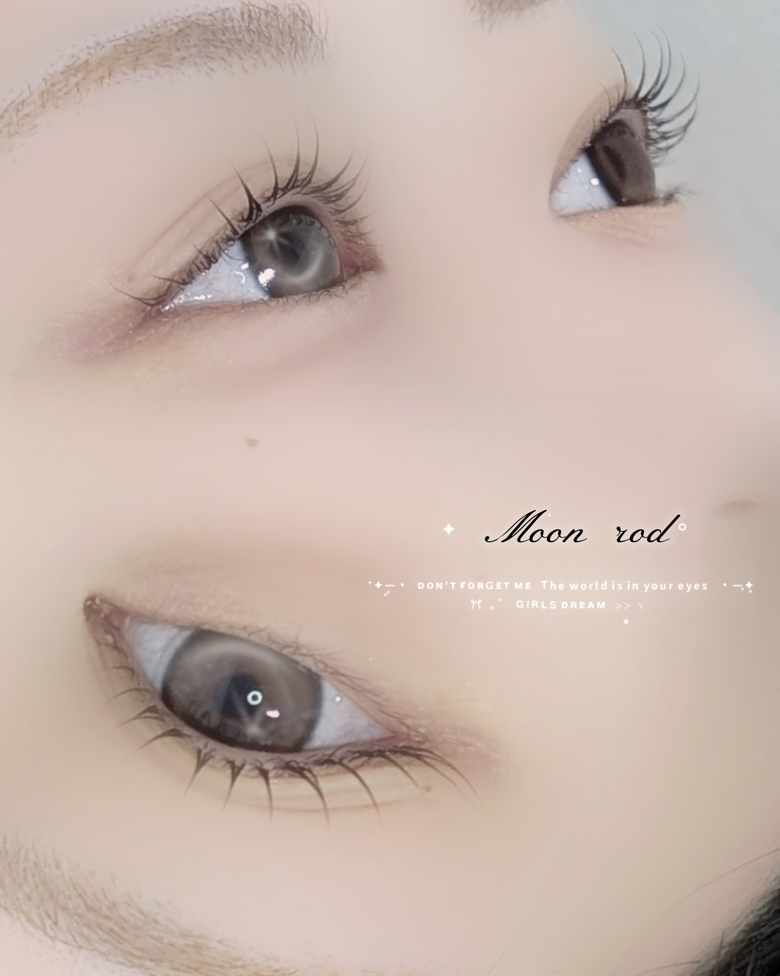bloom.chihiro