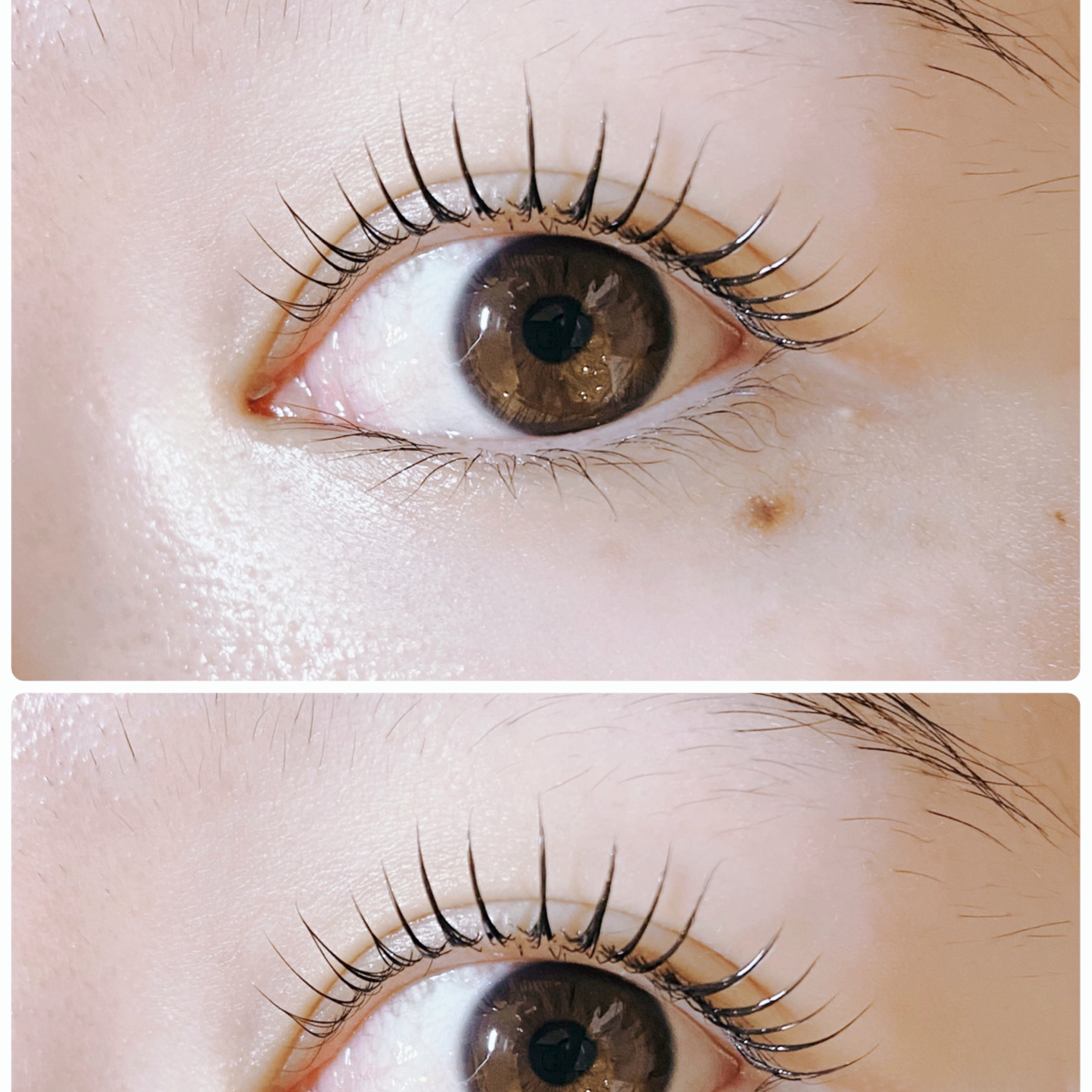 eyelash.ayumi