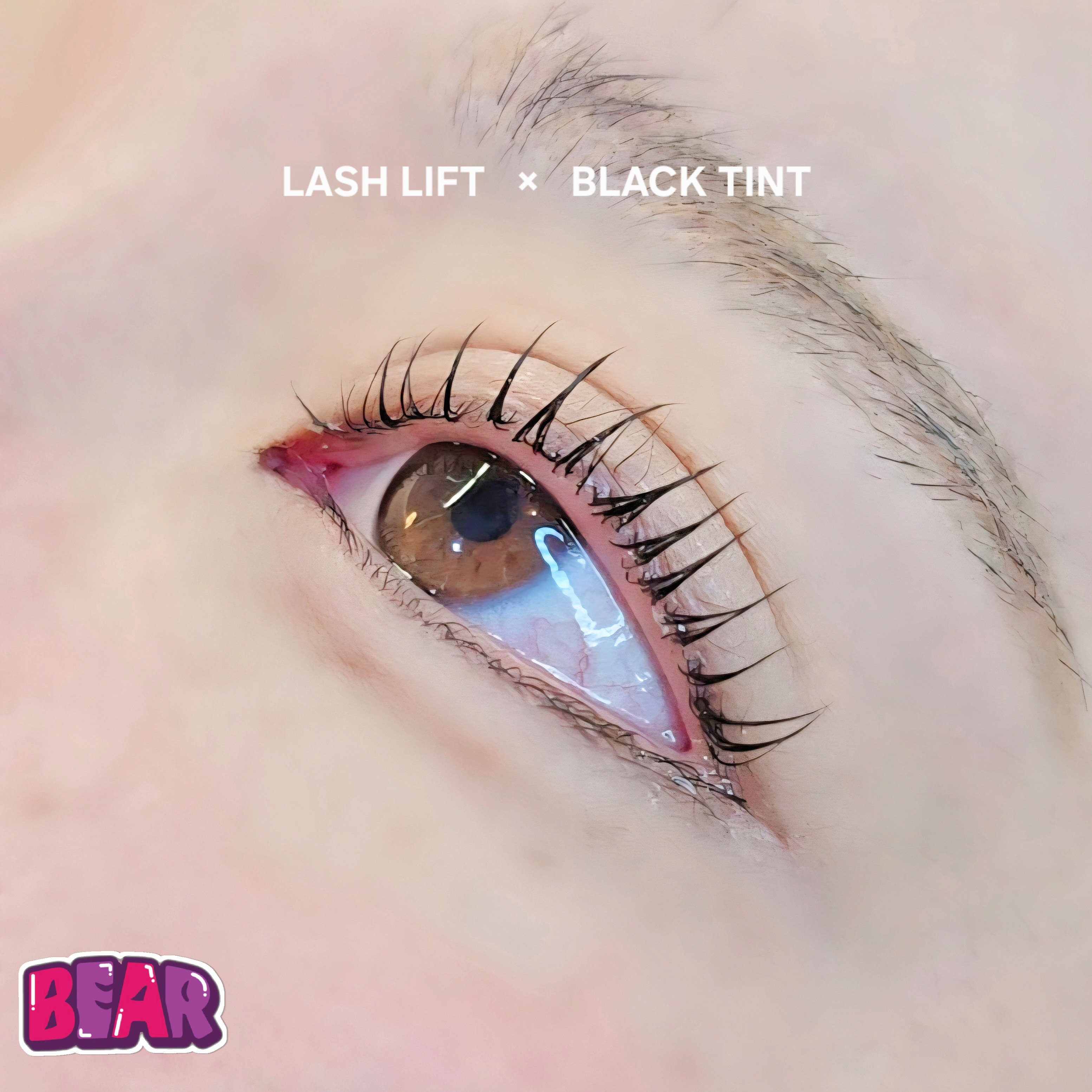 bear._.eyelash