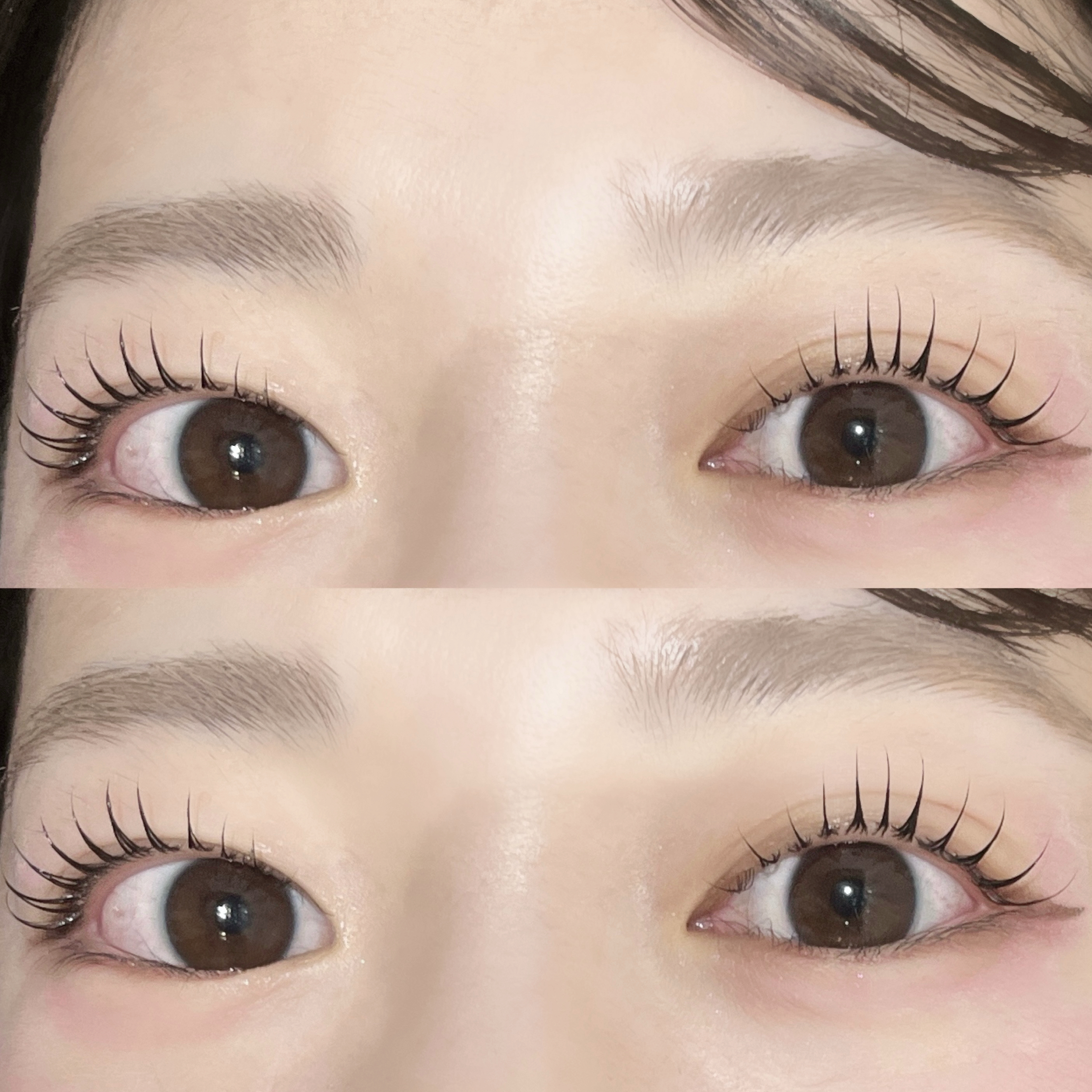 unnon_wakabayashi
