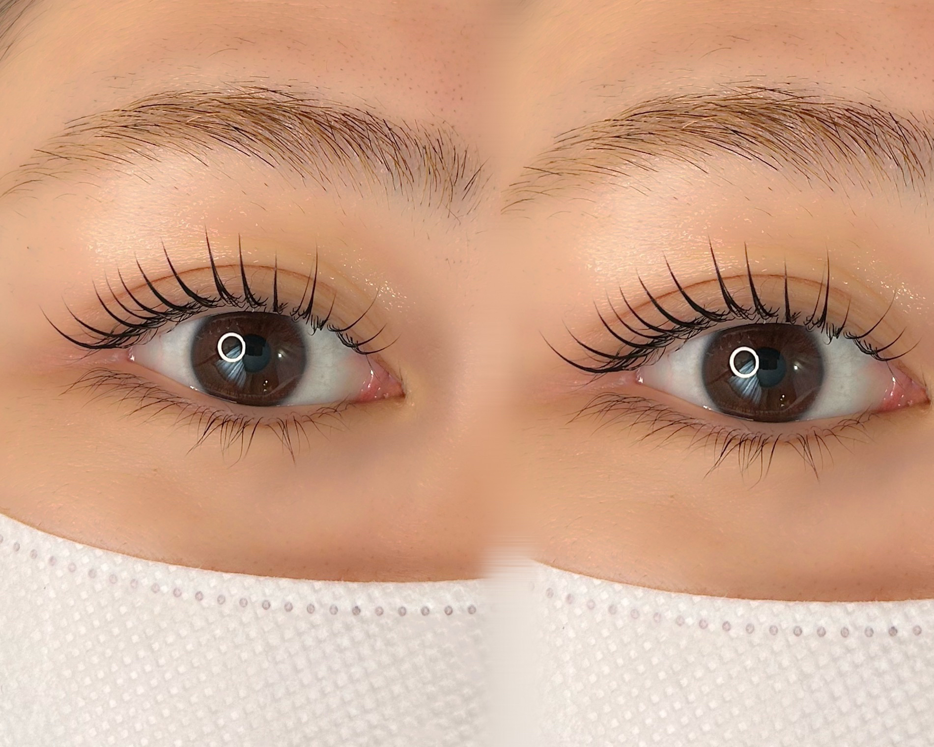 eyelash_eyebrow_desiree.