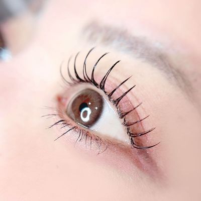 🌷フラットラッシュ100本🌷