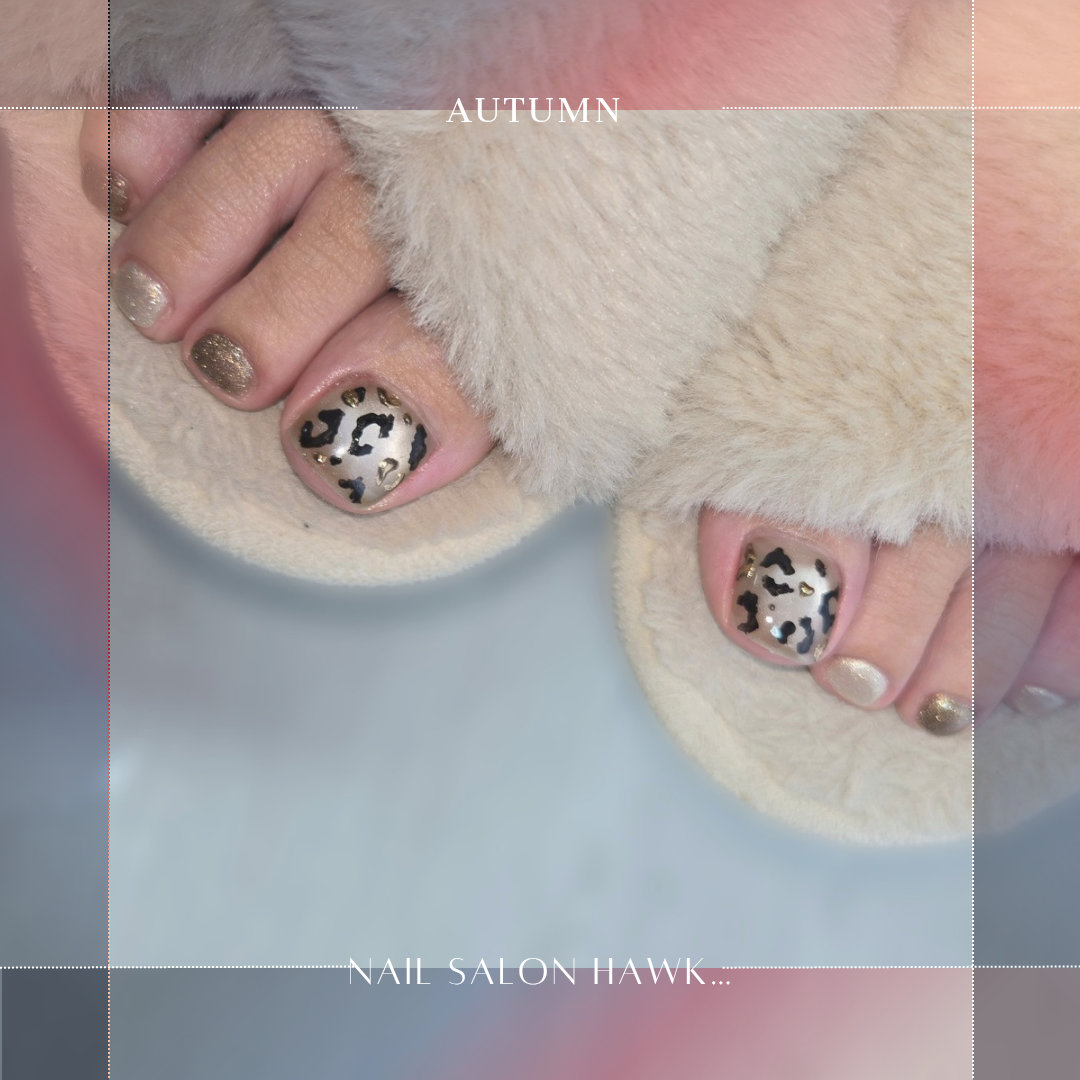 nailsalonHawk