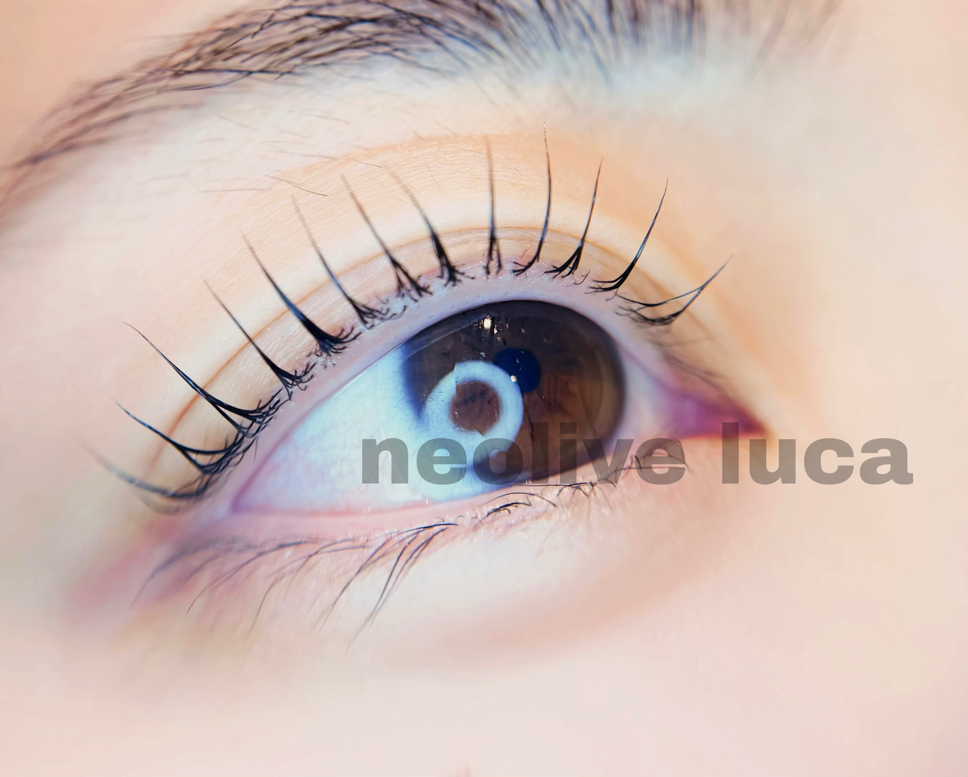 Luca_haruka