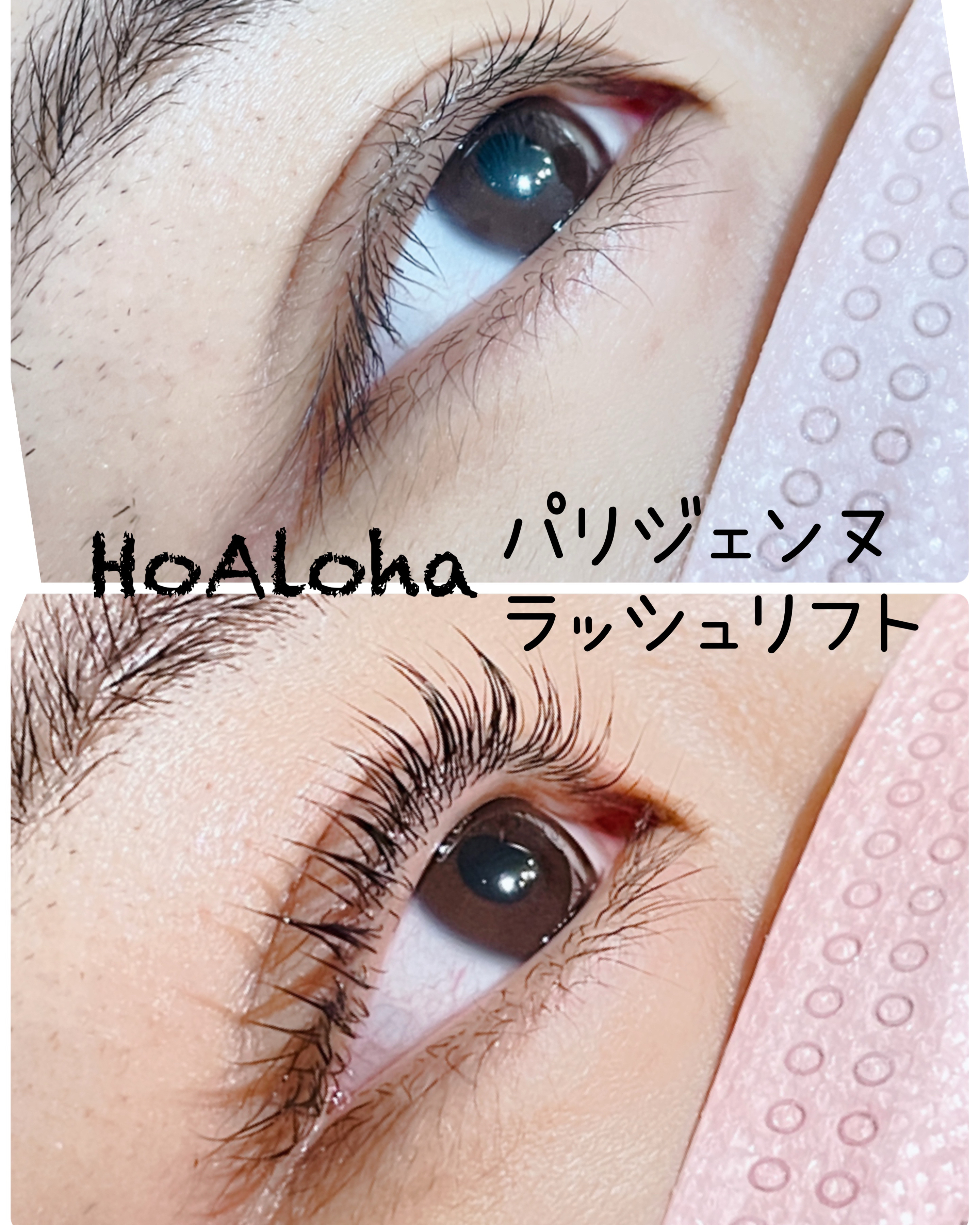 hoaloha.kyoto