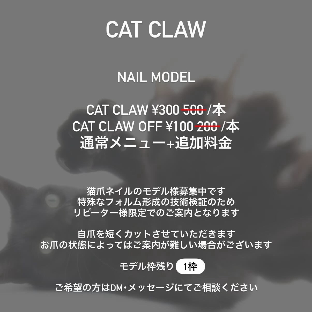 kotono.nail