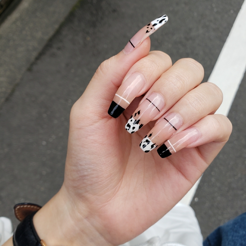 miiii_shiba