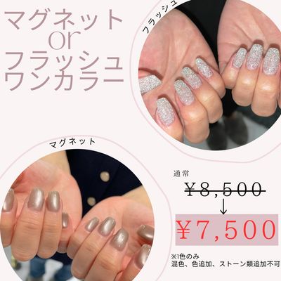 ＊【単色限定✨】忙しいあなたに！45分マグネット or フラッシュ ワンカラー