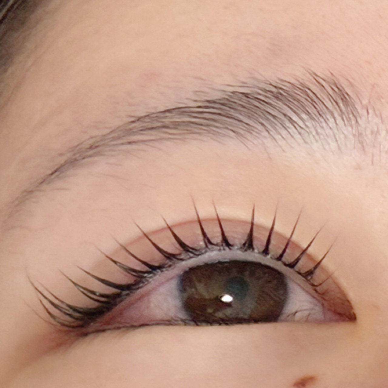 noel_eyelash