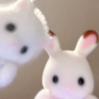 mnyanm