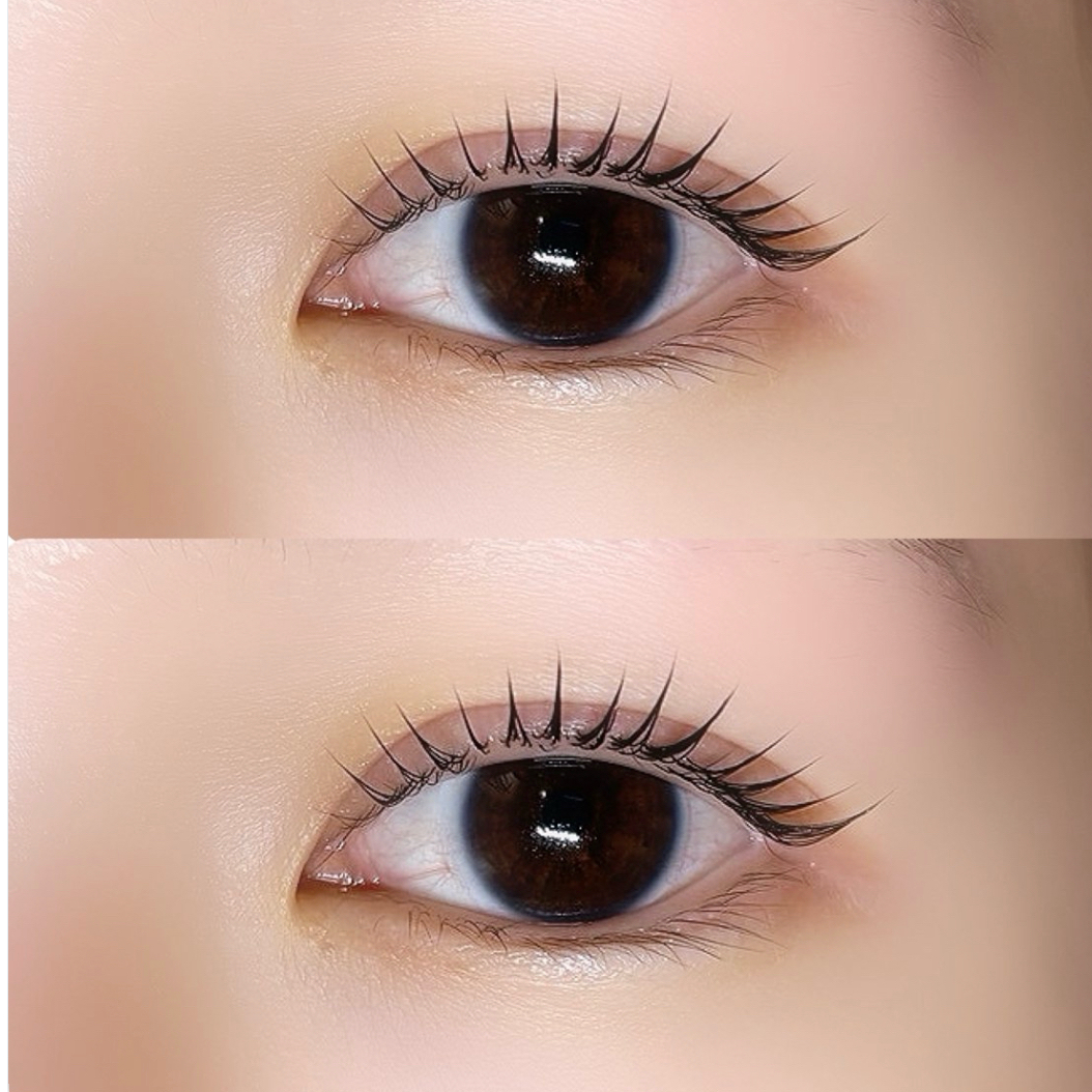 Lupines_koyume