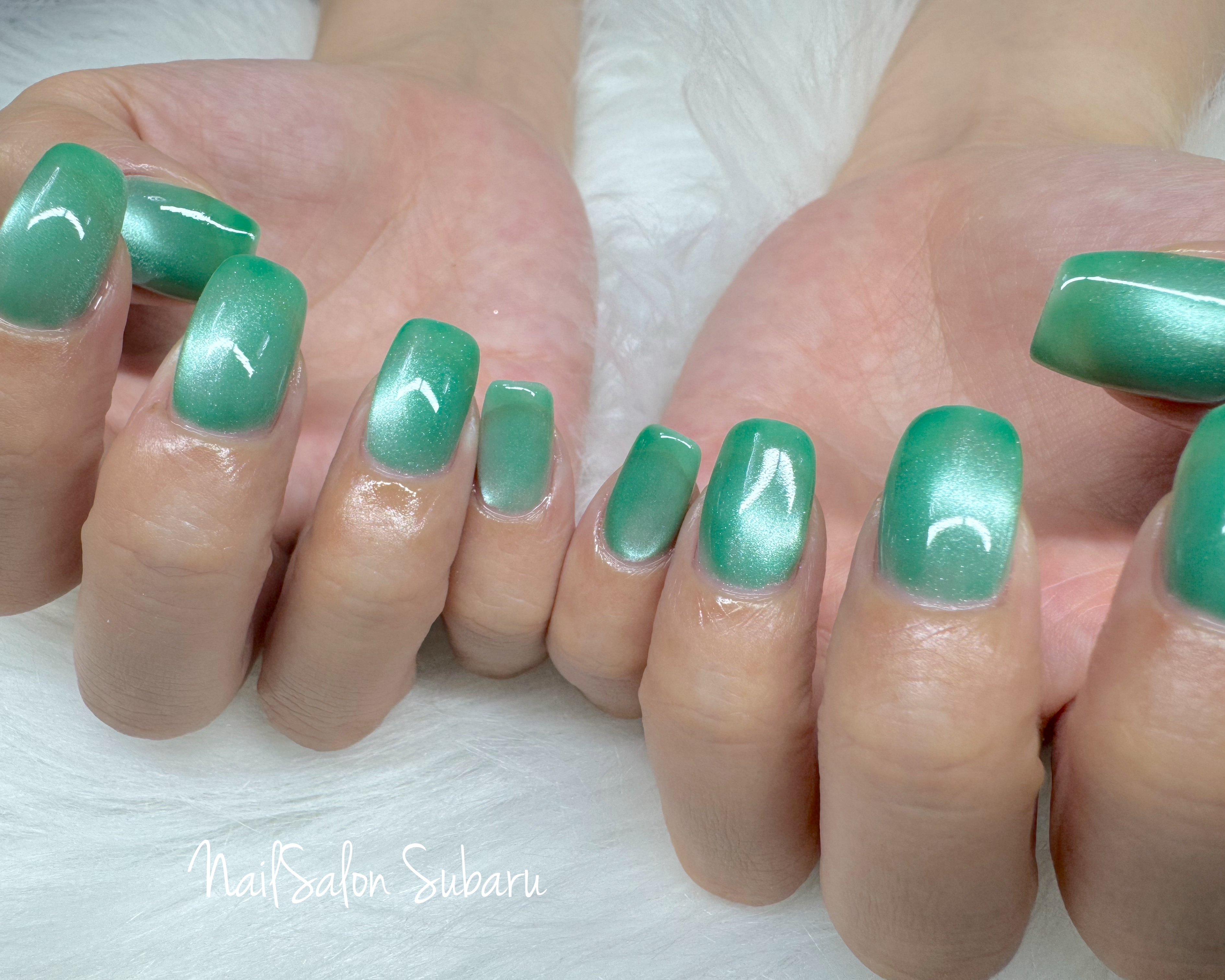 NailSalon.Subaru