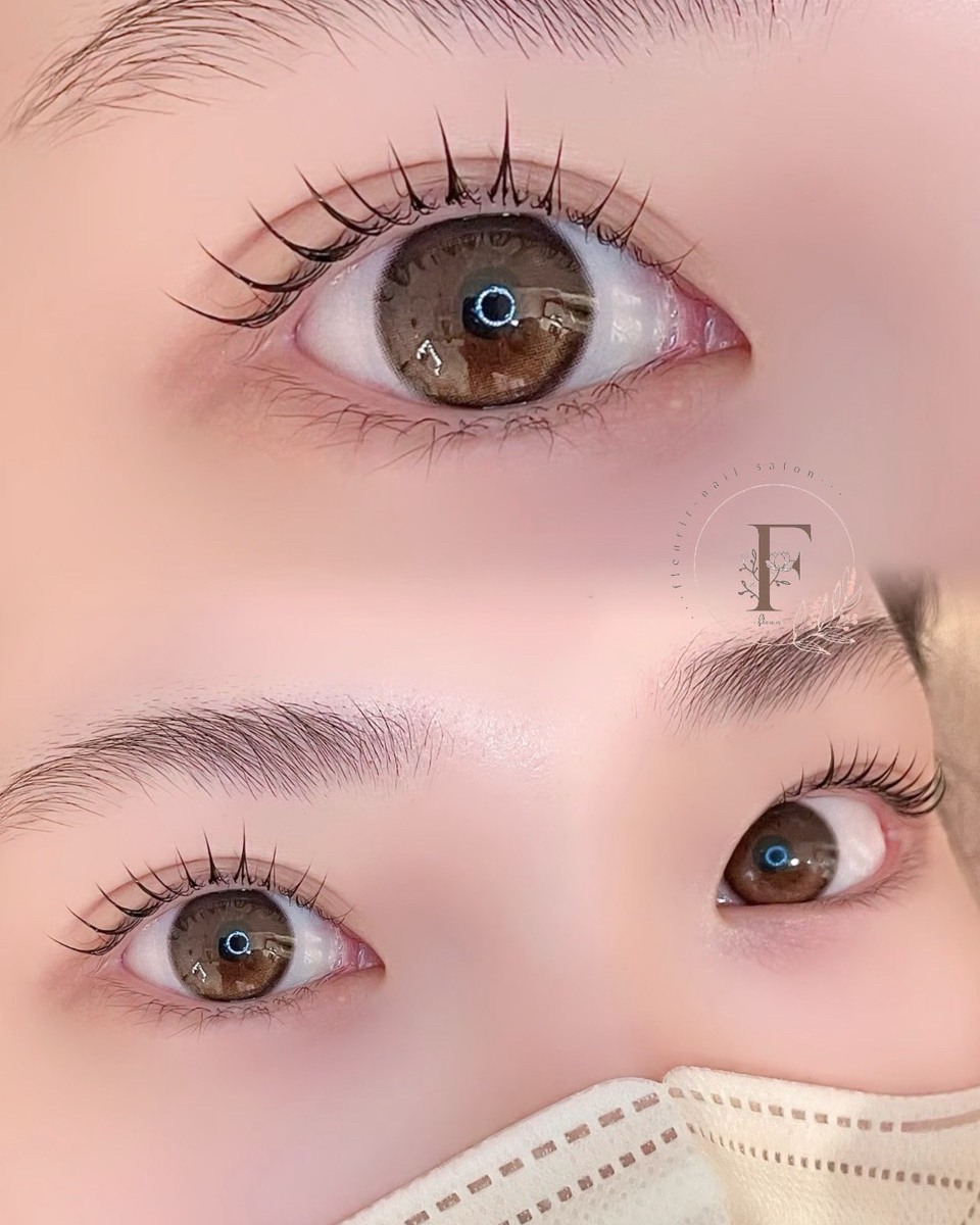 _seika