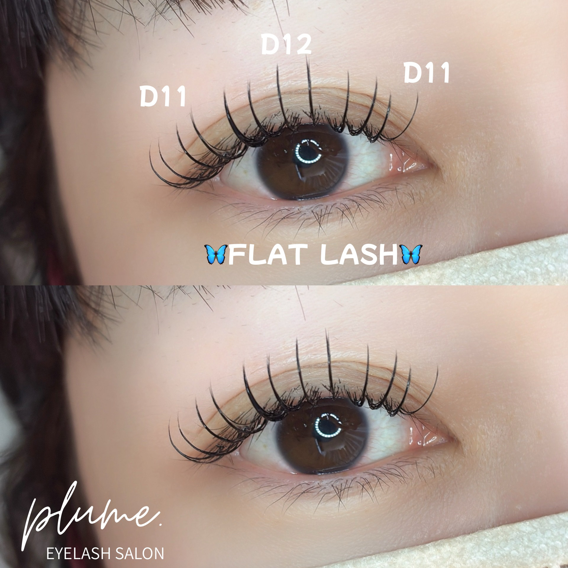 plume.eyelashsalon