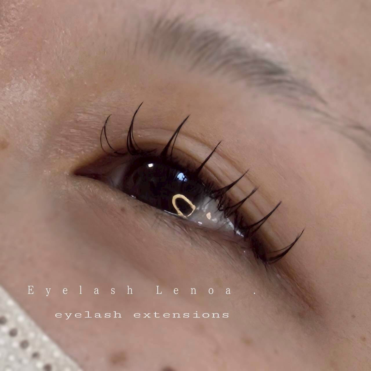 lenoa_eyelash
