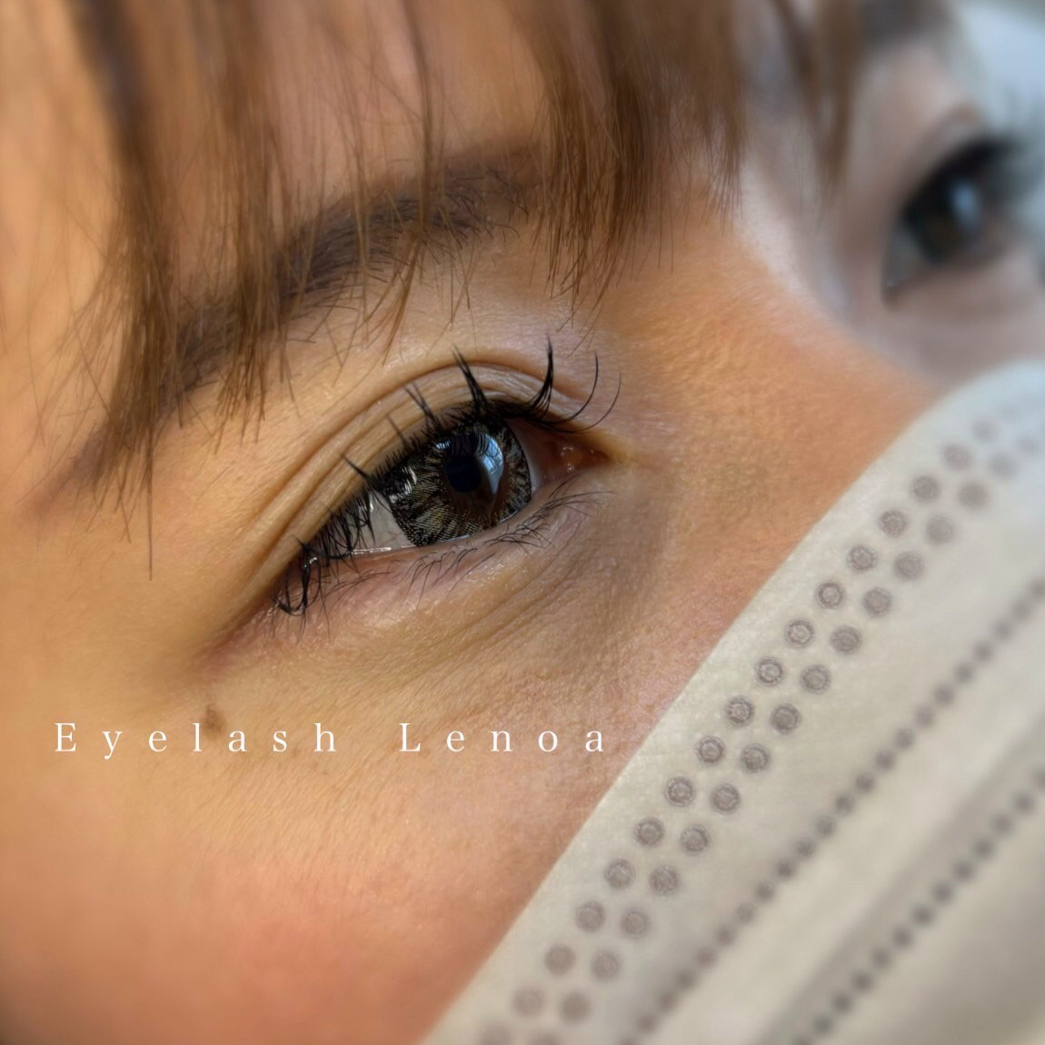 lenoa_eyelash