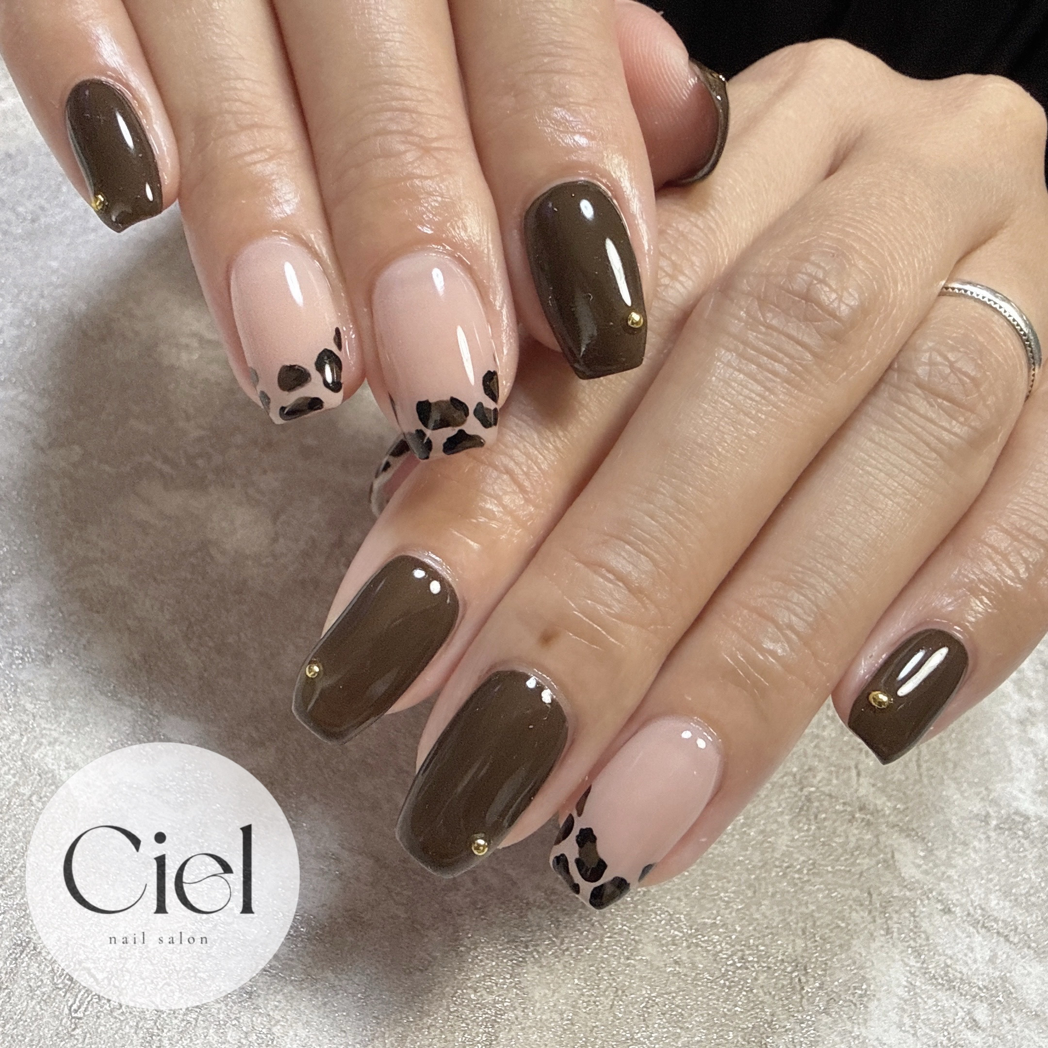 Ciel530