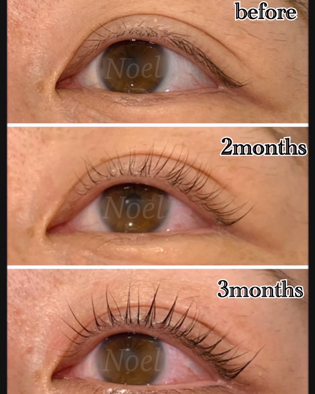 noel_eyelash