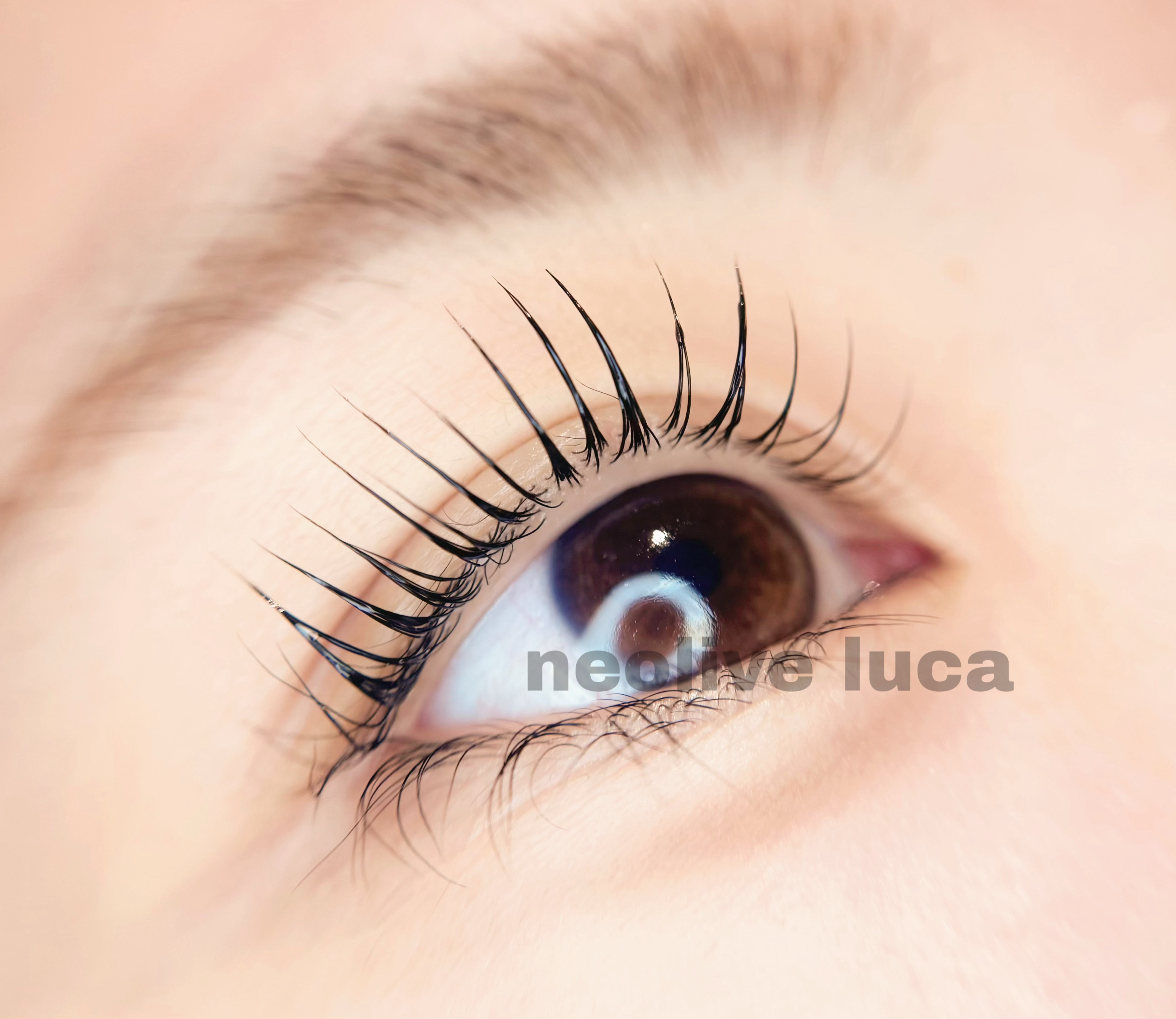 Luca_haruka