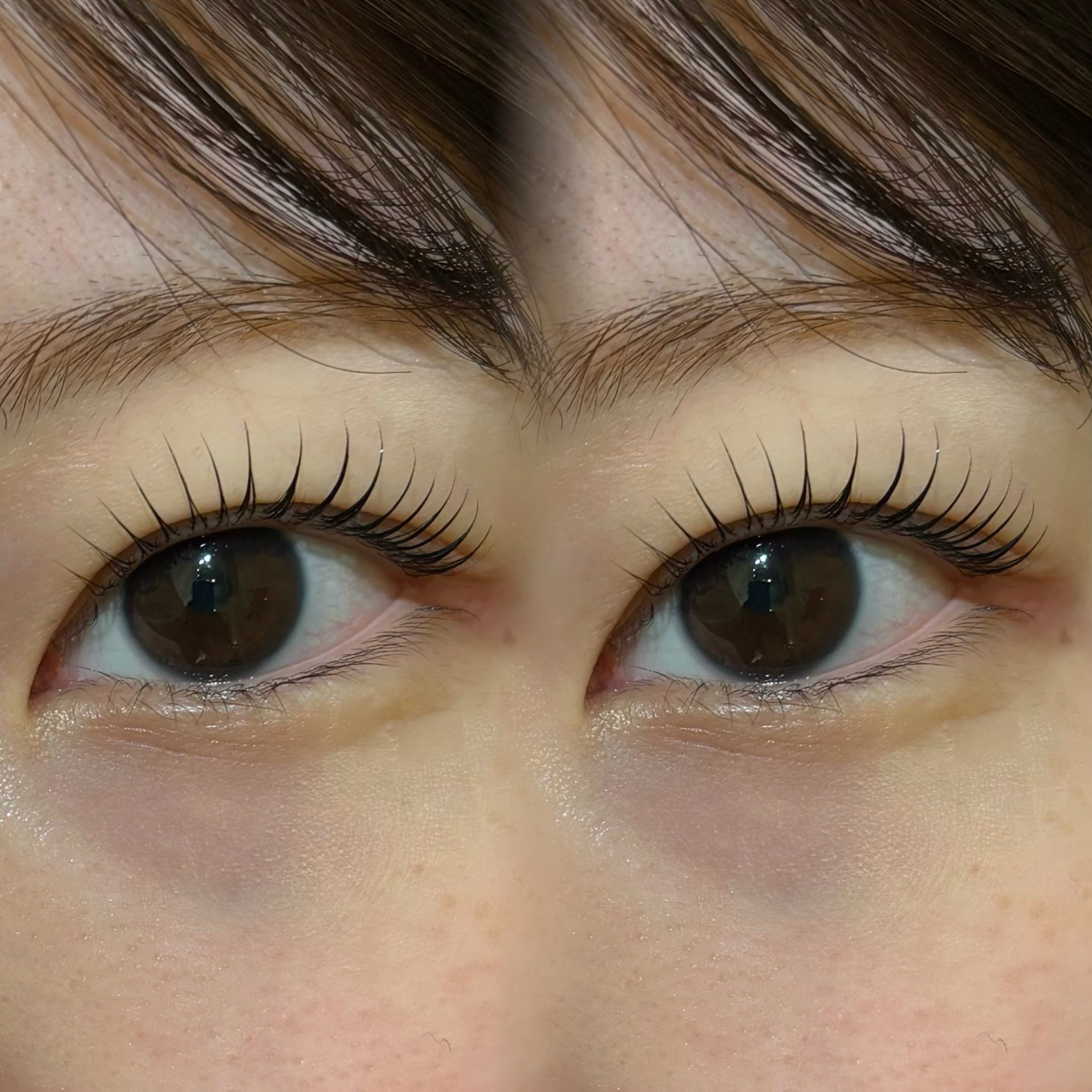 eyelash.suzuna