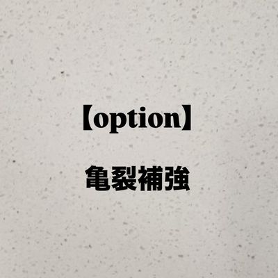【亀裂補強】1本