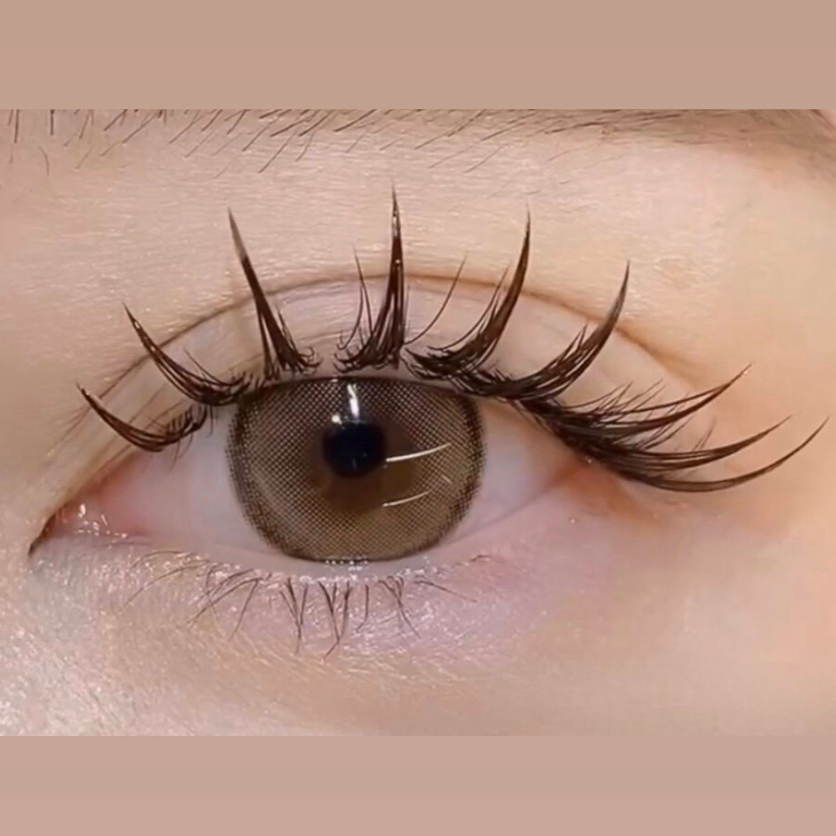 hawaiieyelash