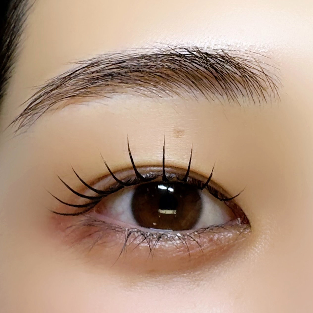 msm_eye