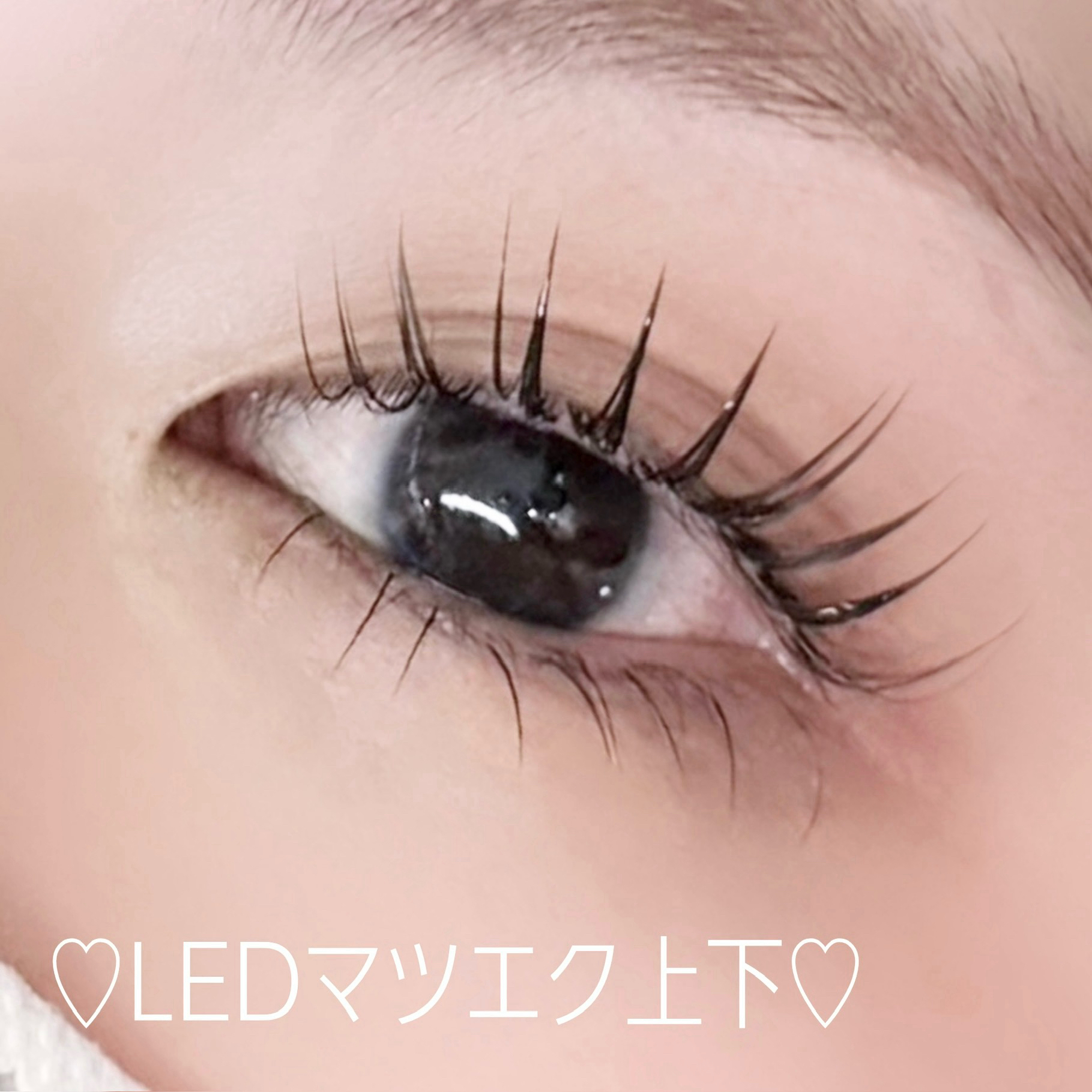 bright_eyelash