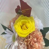 princess_f421