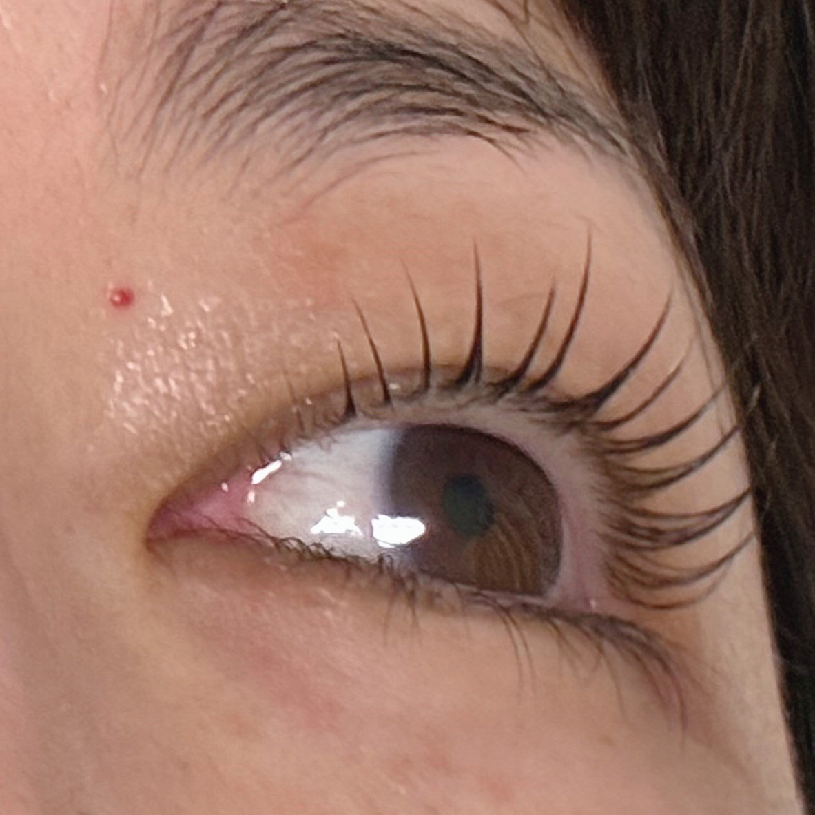 noel_eyelash