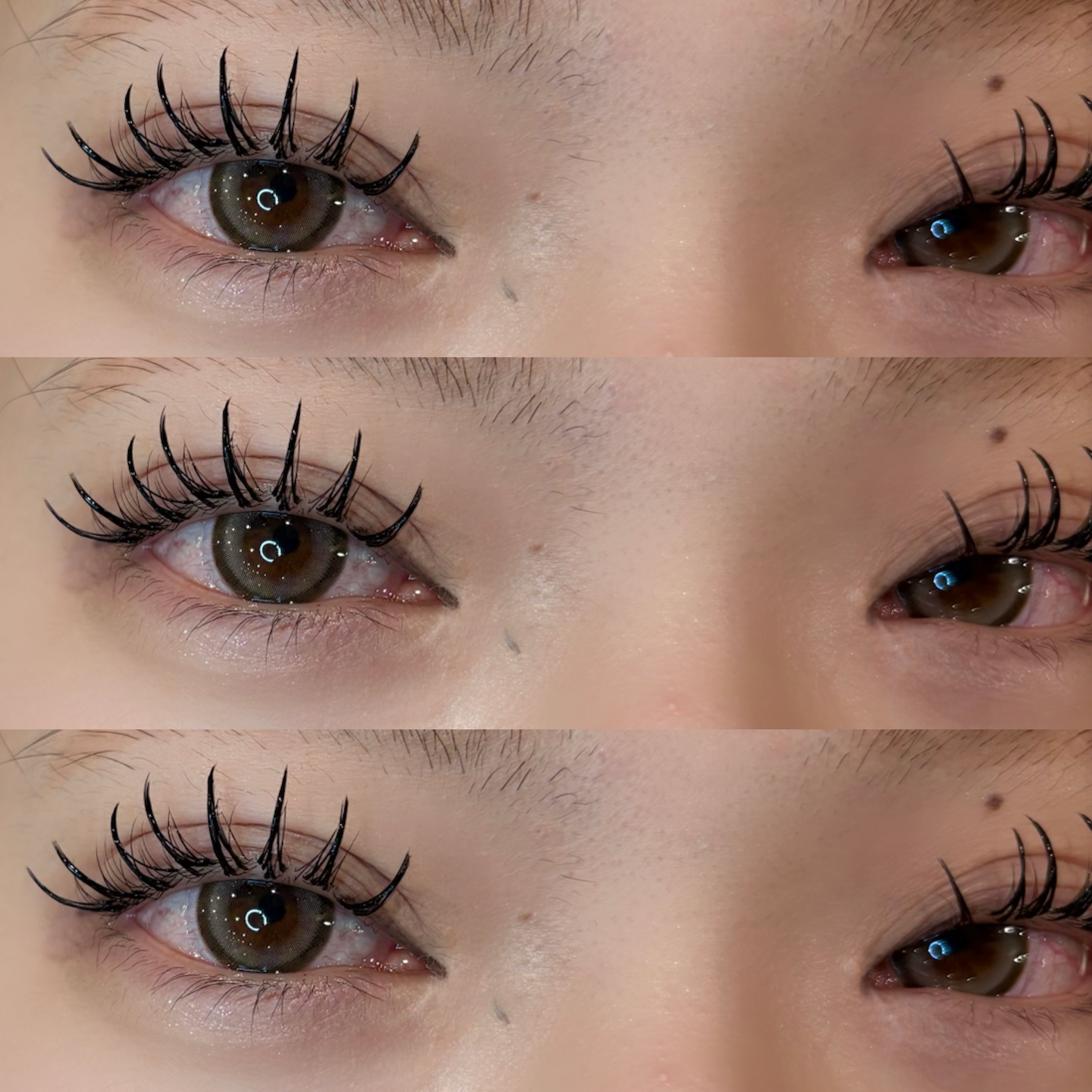 eyelist._.tanaka