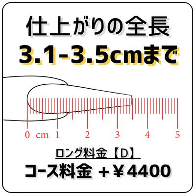 ⚠️単品不可⚠️ロング料金【Ｄ】(全長3.1〜3.5cm)