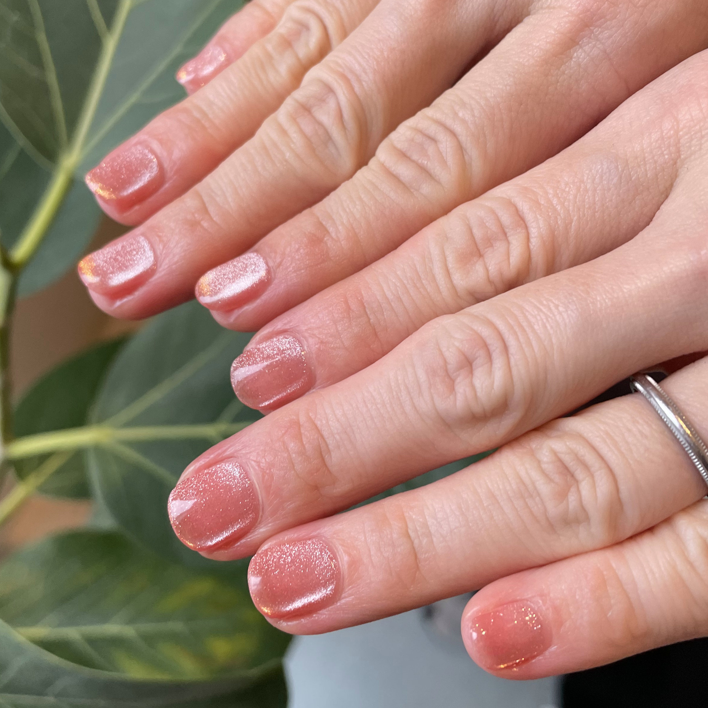 Nicoysnail702