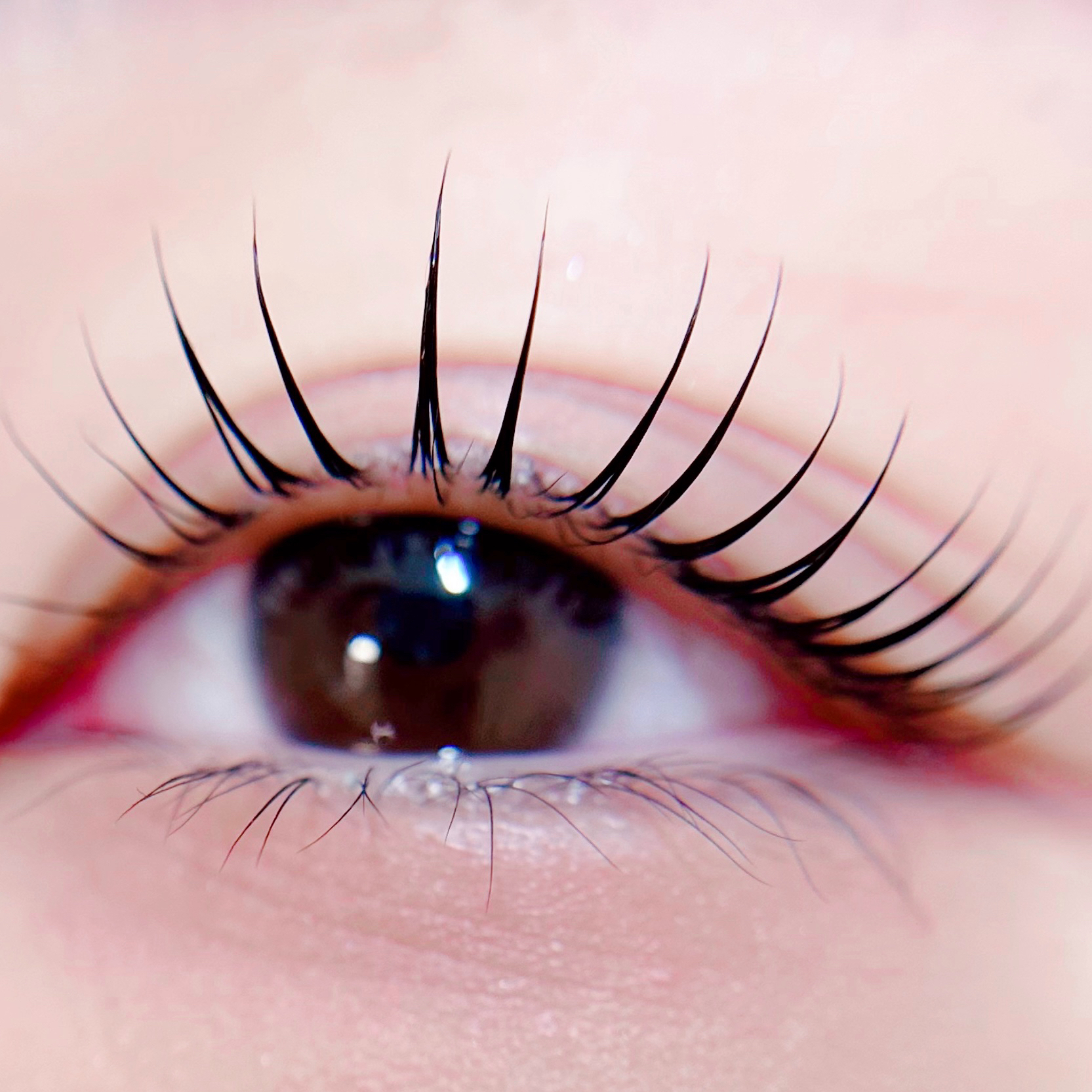eyelash_kana_314