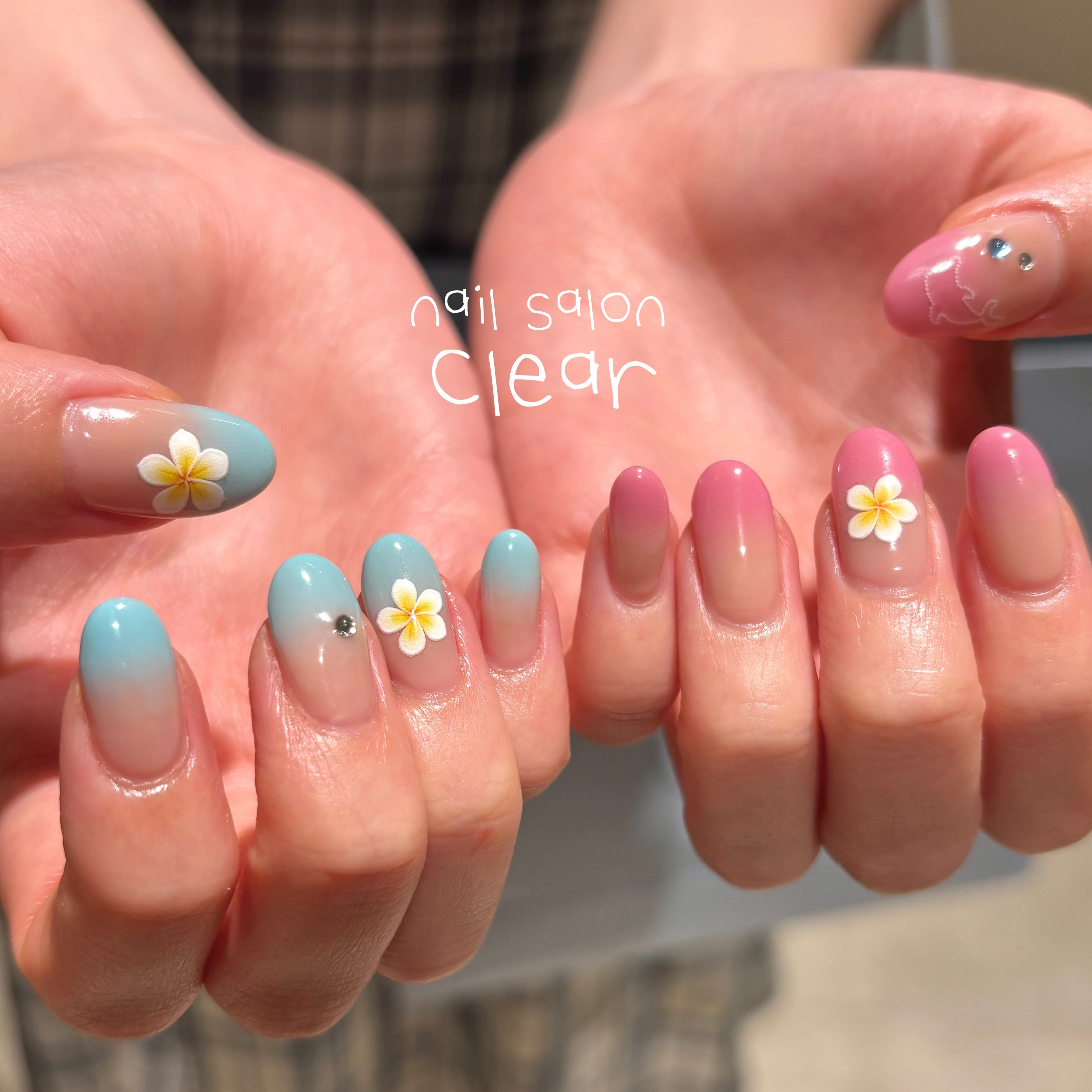 salon.clear