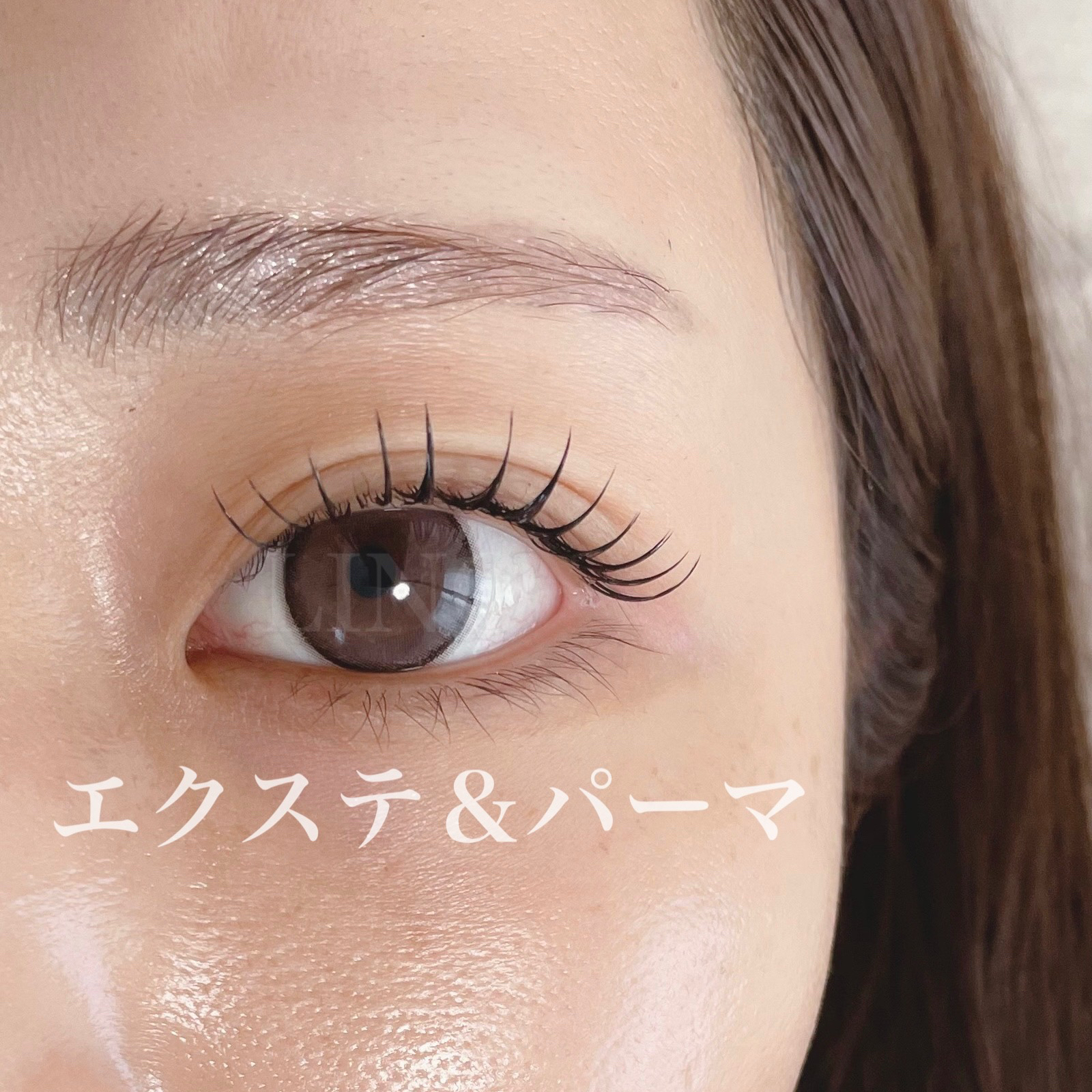 LINO_eyelash.