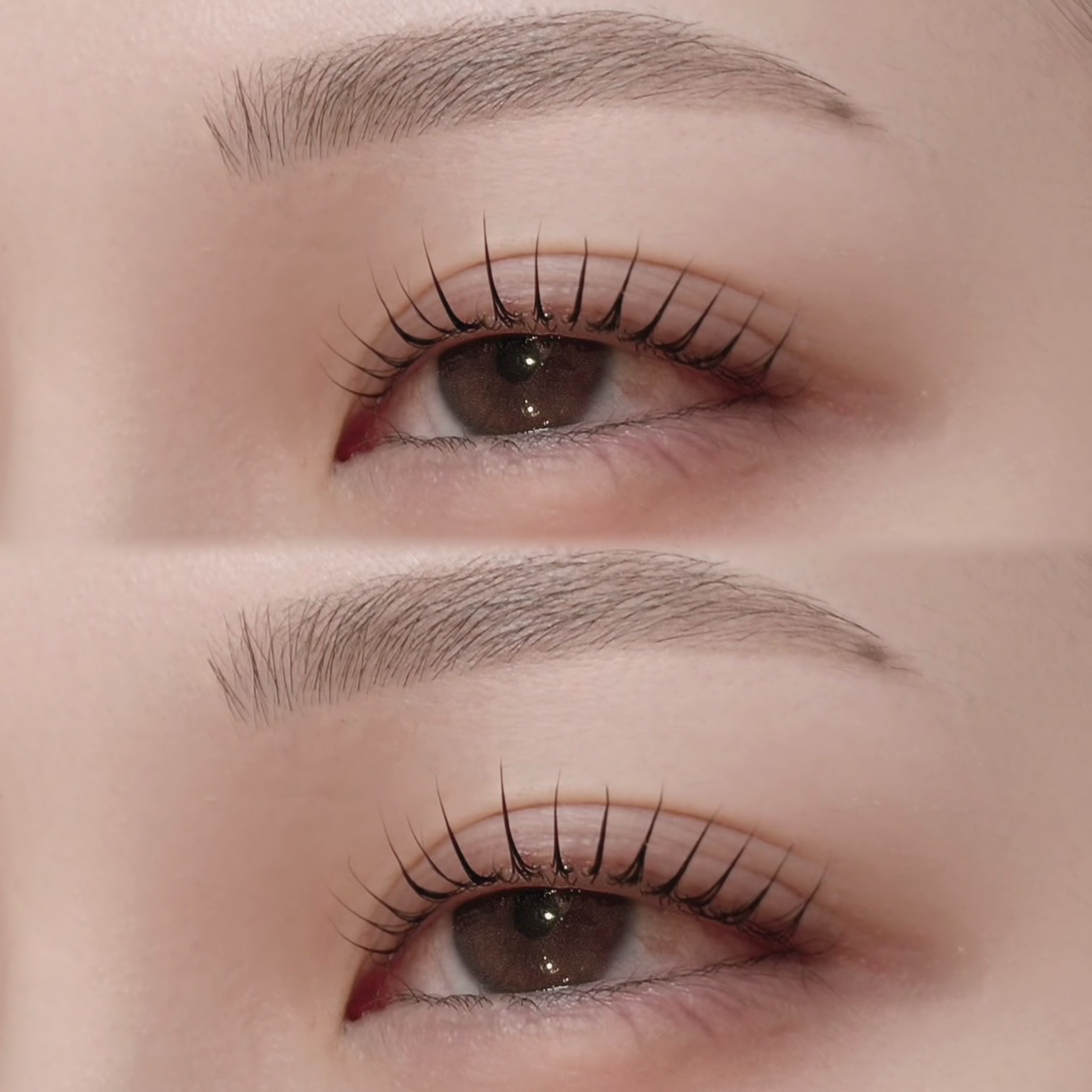 BUCKS_eye