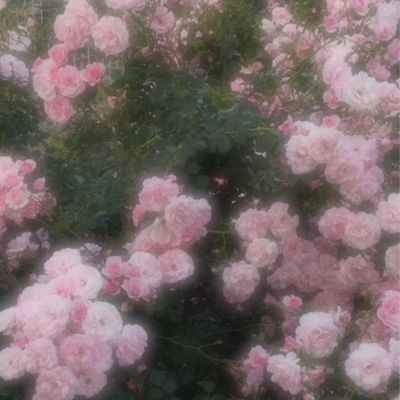 【再来】まつ毛エクステオフ