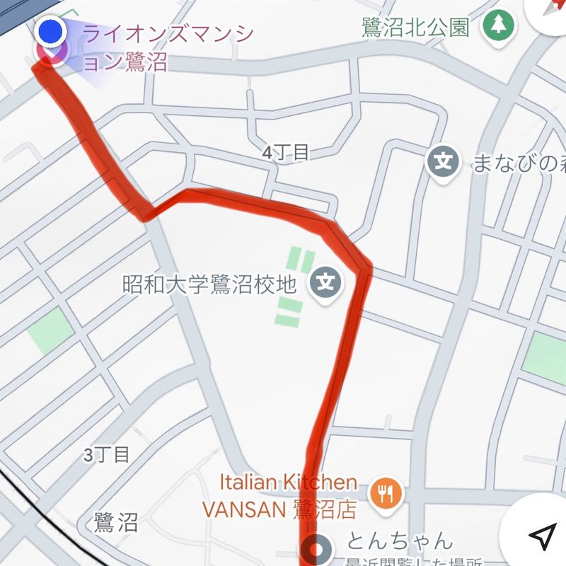 楚々