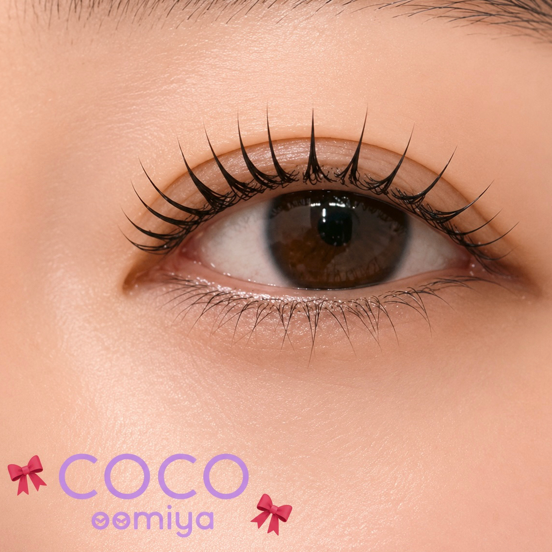 coco_shizuku