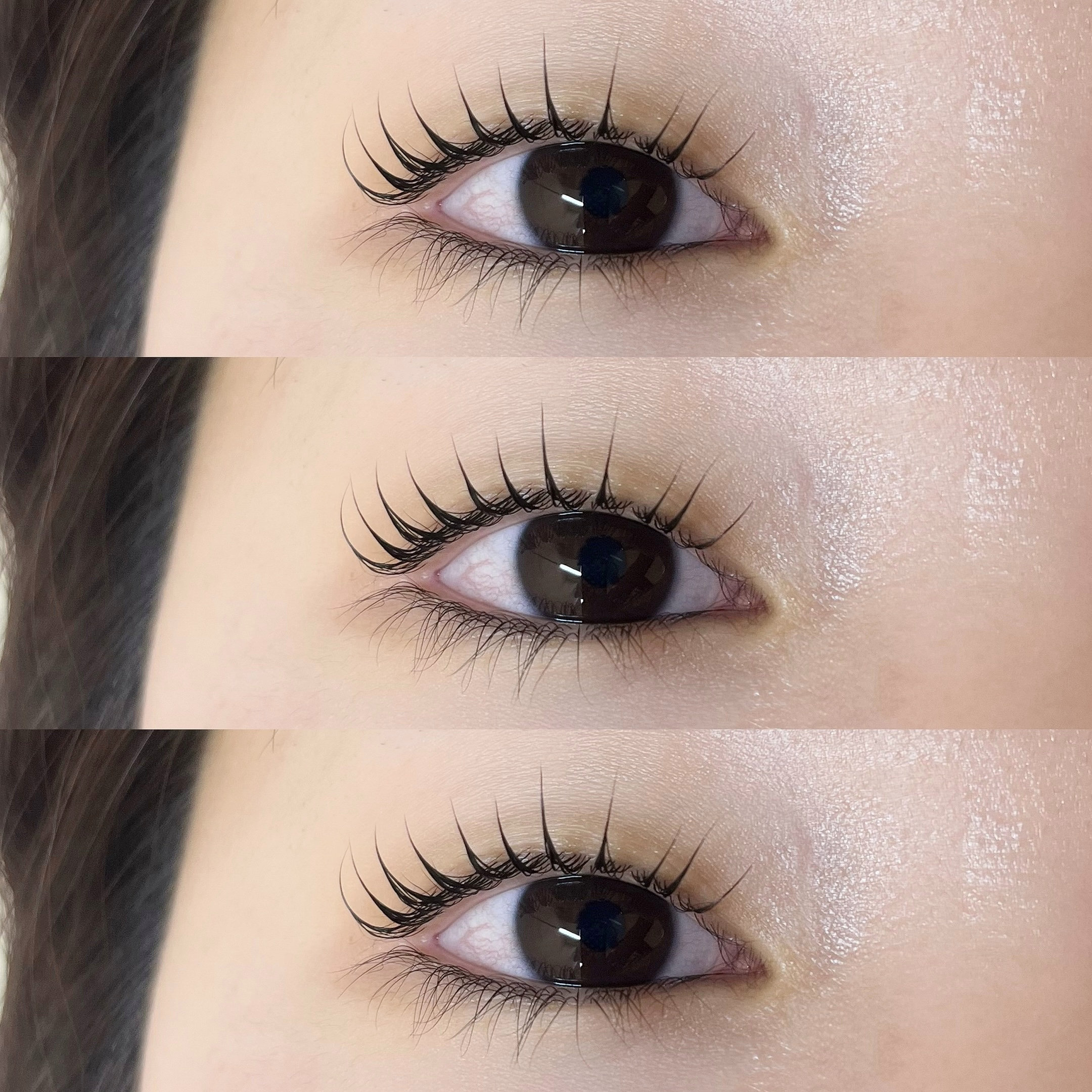 himawari_trueye