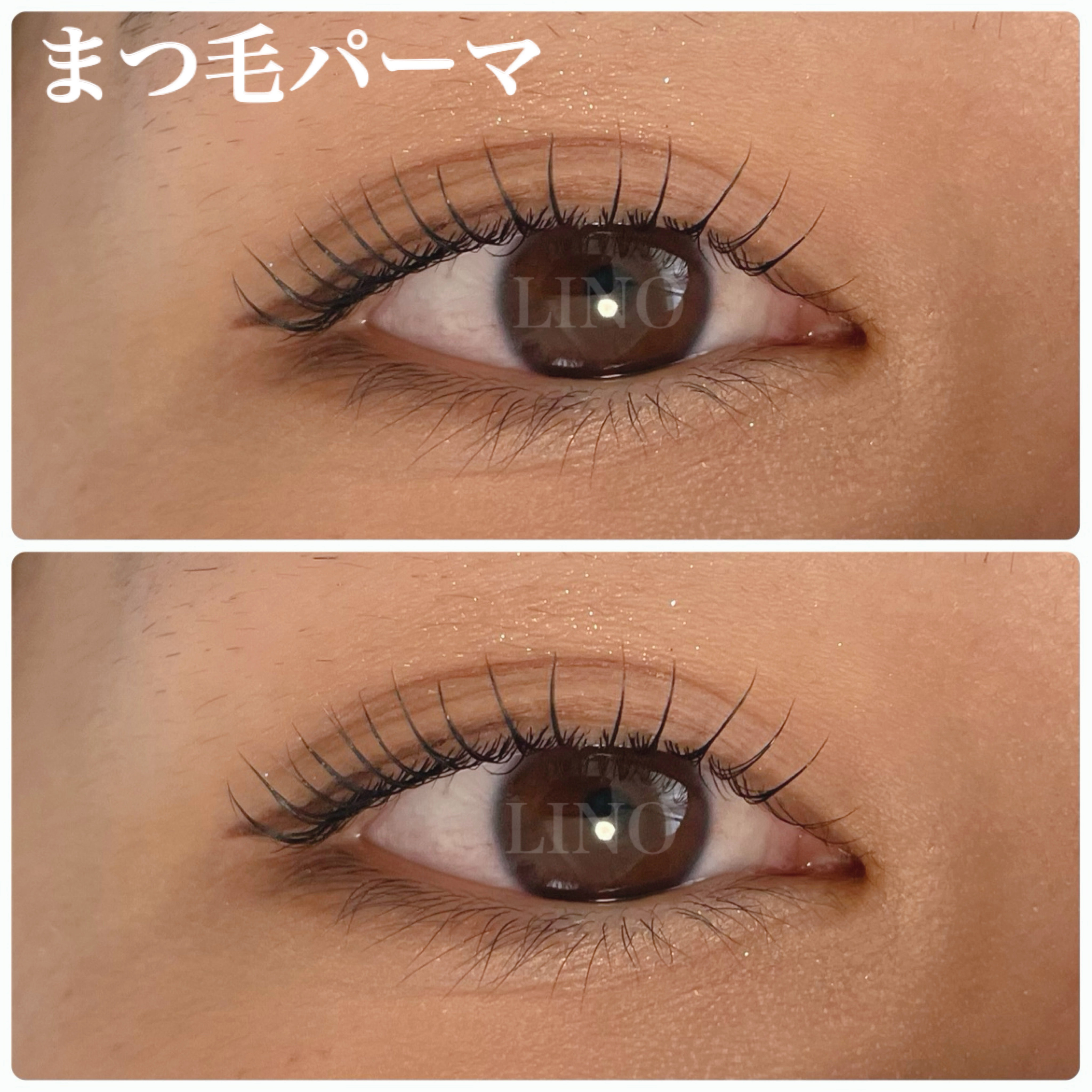 LINO_eyelash.