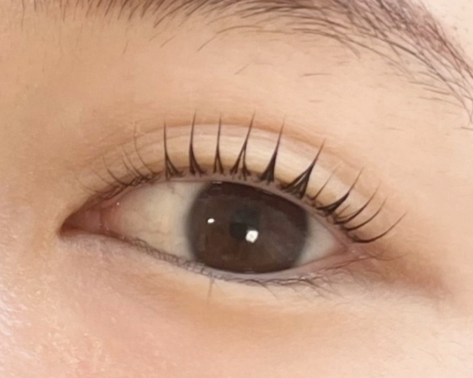 eye_yyui