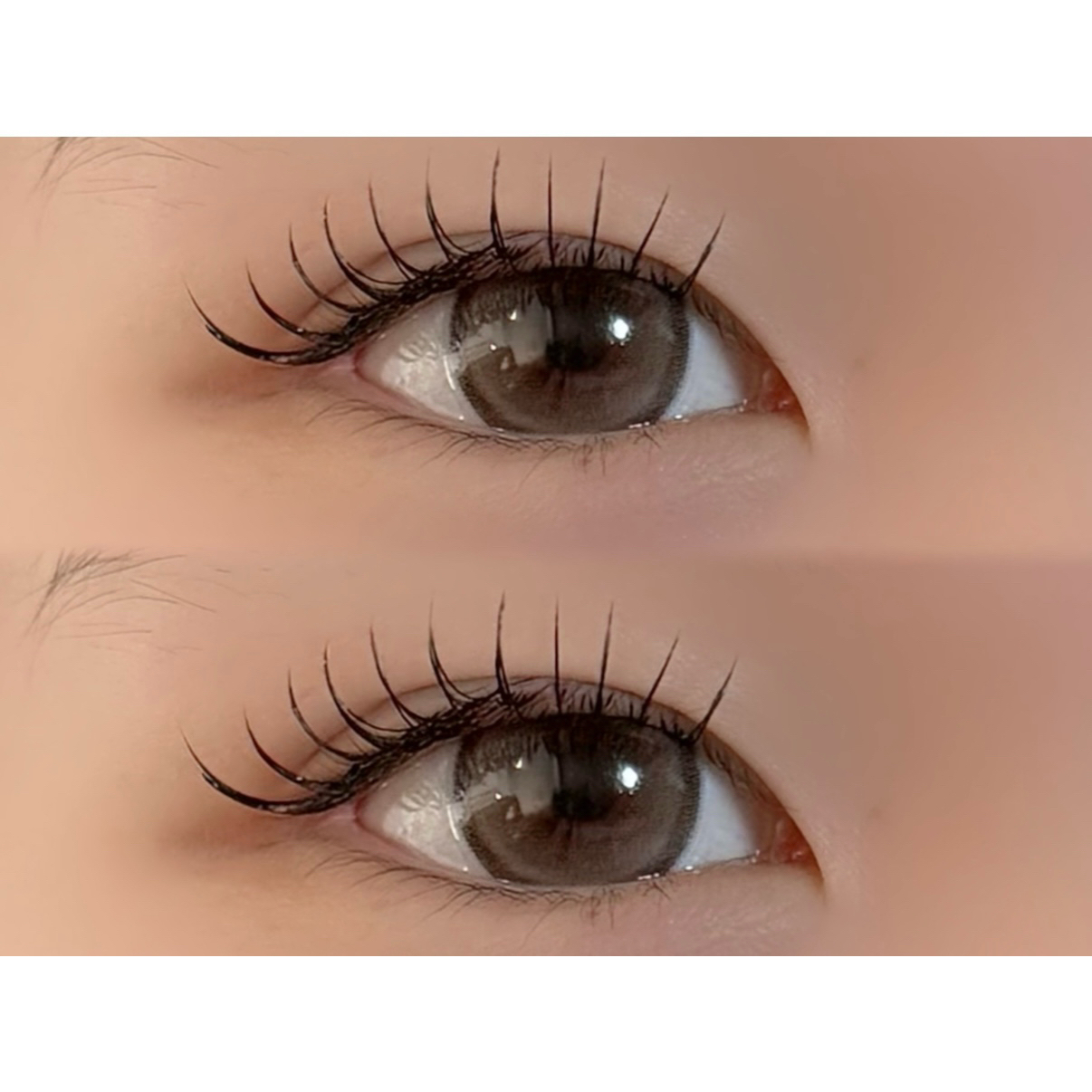 R_LASH