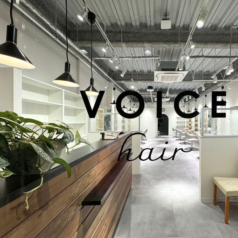 voice hair