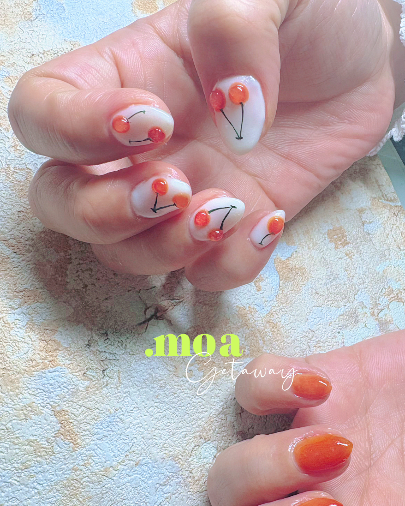 .moa