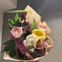 akanedesuyo