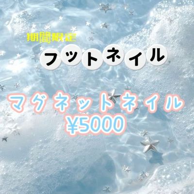 【期間限定】Footマグネットネイル¥5000