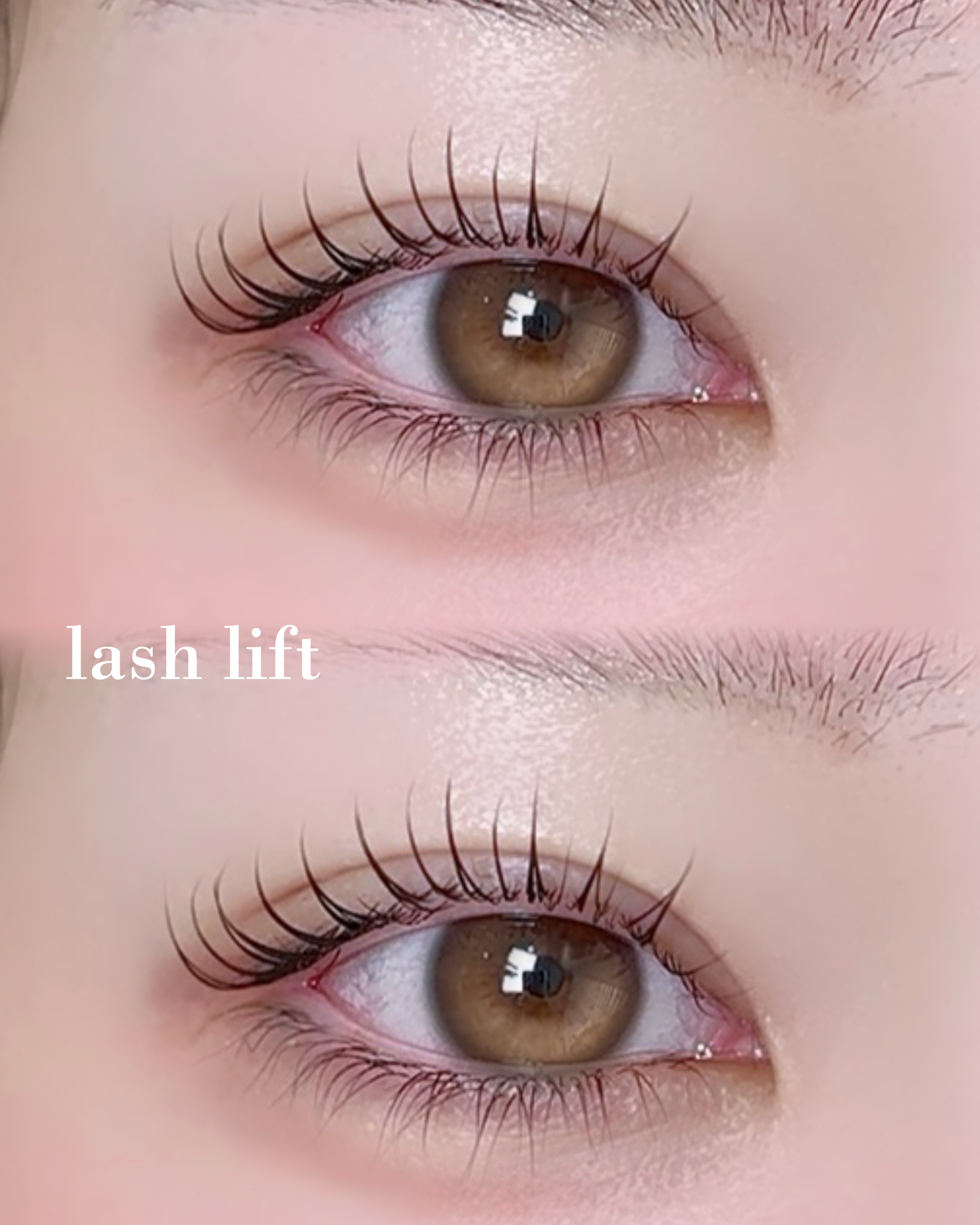 LOAVE_MEI